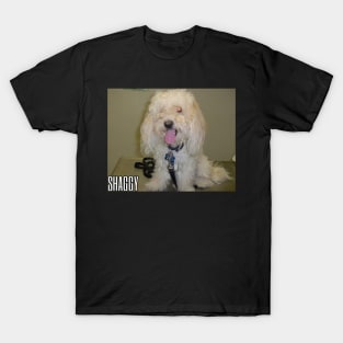 Shaggy ❤ T-Shirt